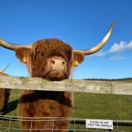 Вилла Glampods Glamping Pod - Meet Highland Cows And Sheep Элгин Экстерьер фото