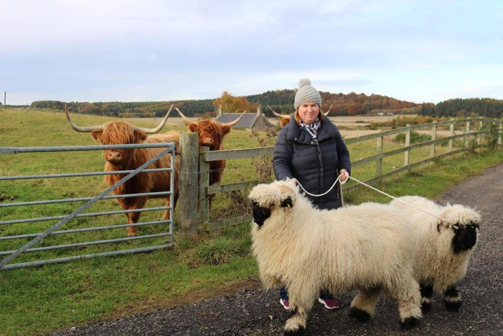Вилла Glampods Glamping Pod - Meet Highland Cows And Sheep Элгин Экстерьер фото